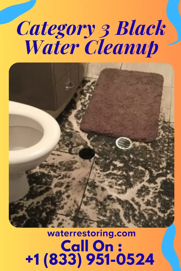 Category 3 Black Water Cleanup in Carthage, NC