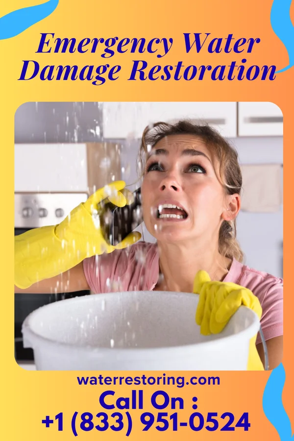 Emergency Water Damage Restoration in Carthage, NC